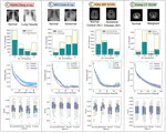 An arxiv preprint Federated Hierarchical Tensor Networks a Collaborative Learning Quantum AI-Driven Framework for Healthcare