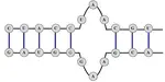 Modeling of RNA secondary structures using two-way quantum finite automata