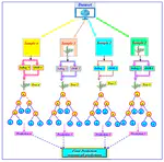 Cyanobacteria blue-green algae prediction enhancement using hybrid machine learning–based gamma test variable selection and empirical wavelet transform