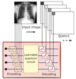 Federated quanvolutional neural network: a new paradigm for collaborative quantum learning